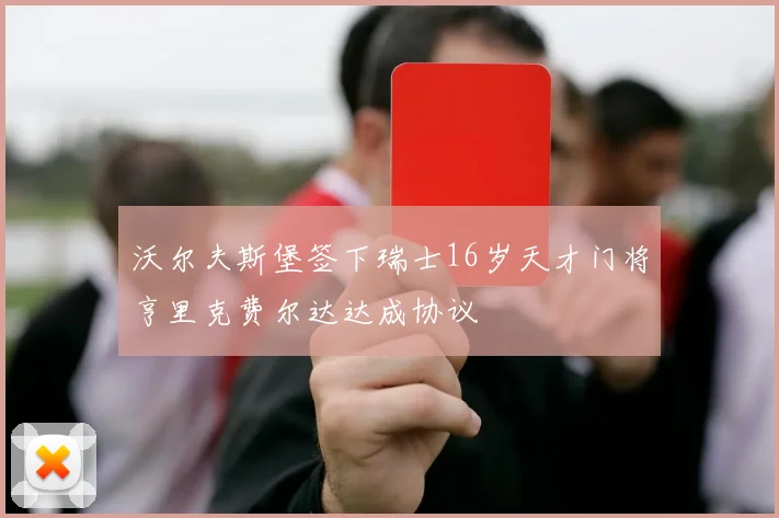 沃尔夫斯堡签下瑞士16岁天才门将亨里克费尔达达成协议