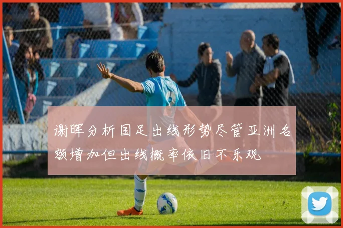 谢晖分析国足出线形势尽管亚洲名额增加但出线概率依旧不乐观